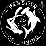 Passion of Diving, Irlandia. Szkolimy kadrę nurkową dla OzN, organizujem zajęcia, kursy, wyprawy dla OzN.